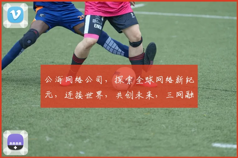 公海网络公司，探索全球网络新纪元，连接世界，共创未来，三网融合，创新无限。