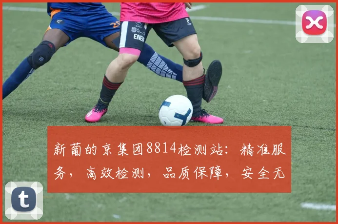 新葡的京集团8814检测站：精准服务，高效检测，品质保障，安全无忧，三重保障，值得信赖