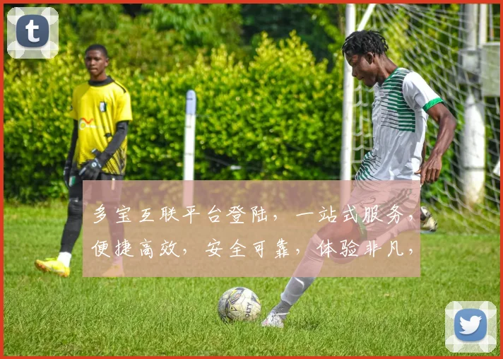 多宝互联平台登陆，一站式服务，便捷高效，安全可靠，体验非凡，三步轻松搞定