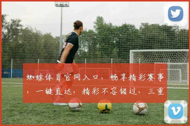 蜘蛛体育官网入口，畅享精彩赛事，一键直达，精彩不容错过，三重福利等你来