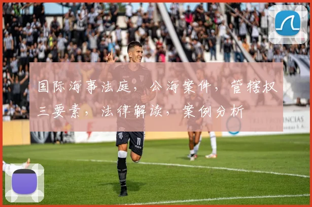 国际海事法庭，公海案件，管辖权三要素，法律解读，案例分析