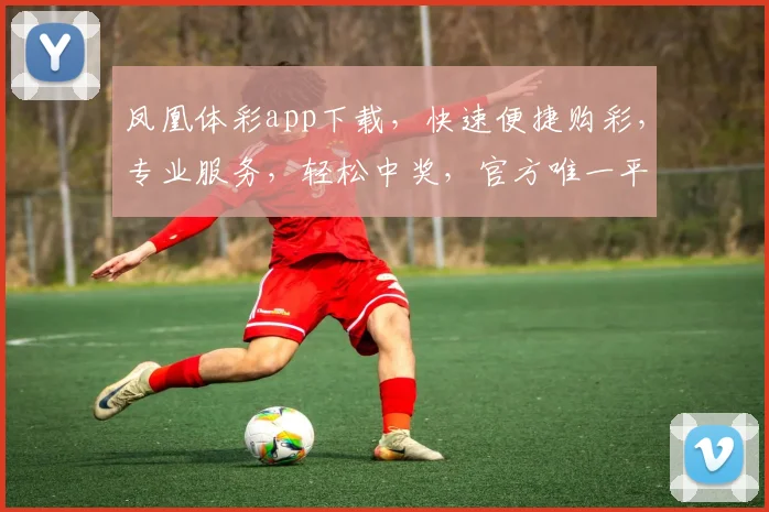凤凰体彩app下载，快速便捷购彩，专业服务，轻松中奖，官方唯一平台，必下