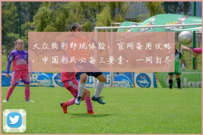 大众购彩即玩体验，官网备用攻略，中国彩民必备三要素，一网打尽